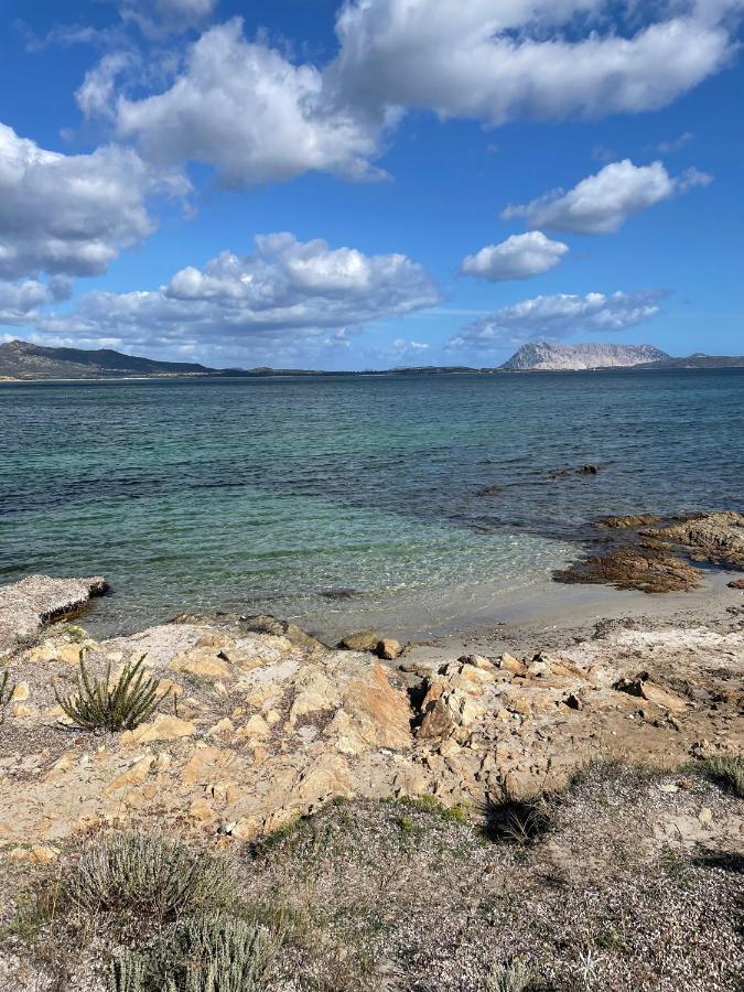 Appartamento In Villaggio, A 150Mt Dal Mare San Teodoro  Exterior foto